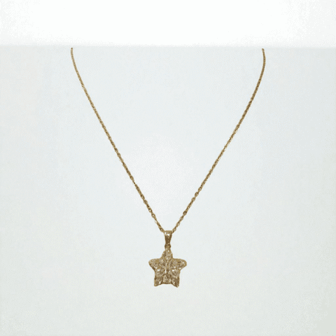 Golden Star Charm Necklace