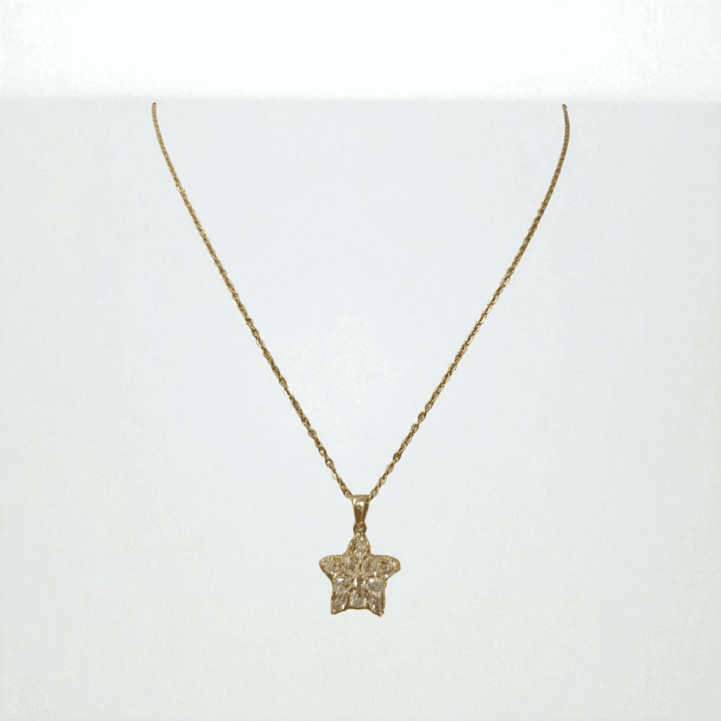 Golden Star Charm Necklace